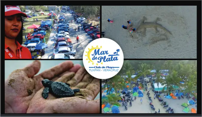 Mar de Plata Eventos en Playa, liberacion tortugas, tuning, palapas