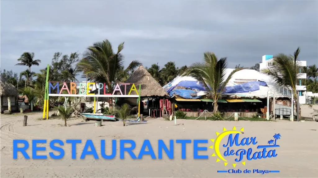 Fachada del restaurante en Tuxpan Mar de Plata con palapas y palmeras ubicadas frente al mar.