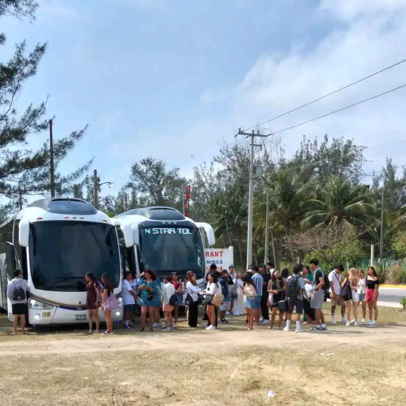 ¡Entendido! Aquí nos encontramos con un detalle interesante como tu Director de Proyectos. La imagen (mar-de-plata-tuxpan-servicios-tours.webp) muestra claramente a un gran grupo de turistas llegando en autobuses a la entrada de tus instalaciones. Aunque visualmente grita "¡Excursiones y Tours!", entiendo que en tu diseño actual (como vimos en las capturas) esta foto está en el bloque de "Facilidad de Pago". Para que Google no se confunda y logremos el objetivo SEO, voy a redactar estos textos conectando ambas ideas: la llegada de grandes grupos y la facilidad de cobrarles rápidamente porque aceptas tarjetas. ¡Es una estrategia excelente para agencias de viajes! Aquí tienes los 4 atributos listos para copiar y pegar: 1. Texto Alternativo (Alt Text): Grupo de turistas llegando al Club de Playa Mar de Plata Tuxpan, instalaciones seguras con facilidad de pago con todas las tarjetas.